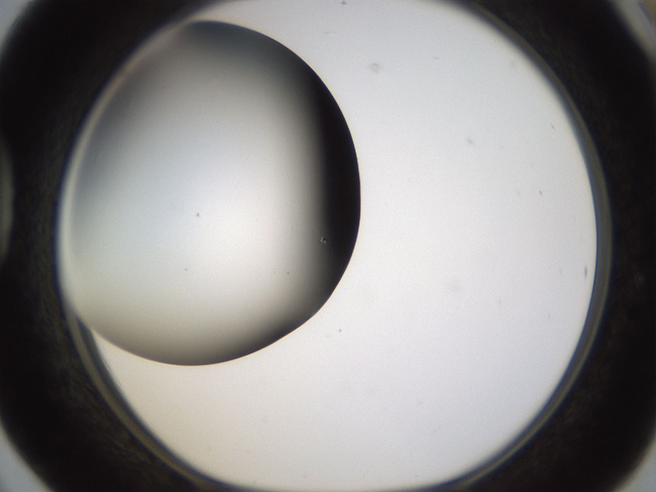 folderID339_plateID1339_batchID4571_wellNum42_profileID1_d1_r80575_ef.jpg