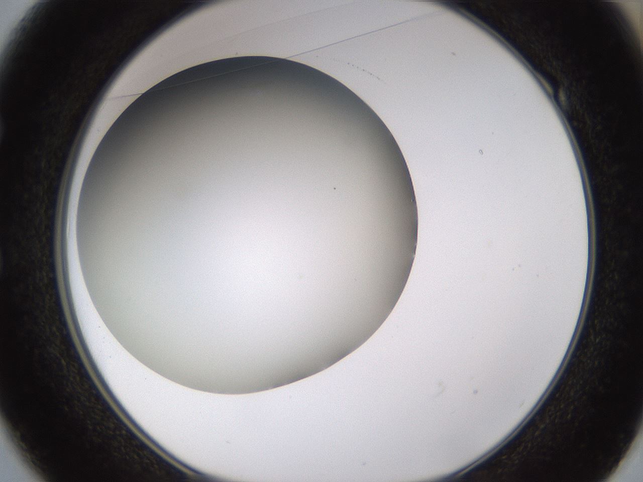 folderID339_plateID1339_batchID4571_wellNum49_profileID1_d1_r80576_ef.jpg