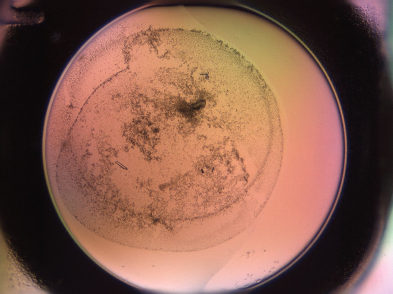 02kf_A12_ImagerDefaults_9.jpg