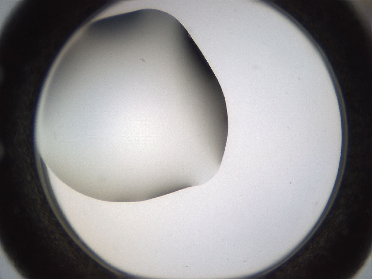 folderID339_plateID1339_batchID4571_wellNum51_profileID1_d1_r80578_ef.jpg