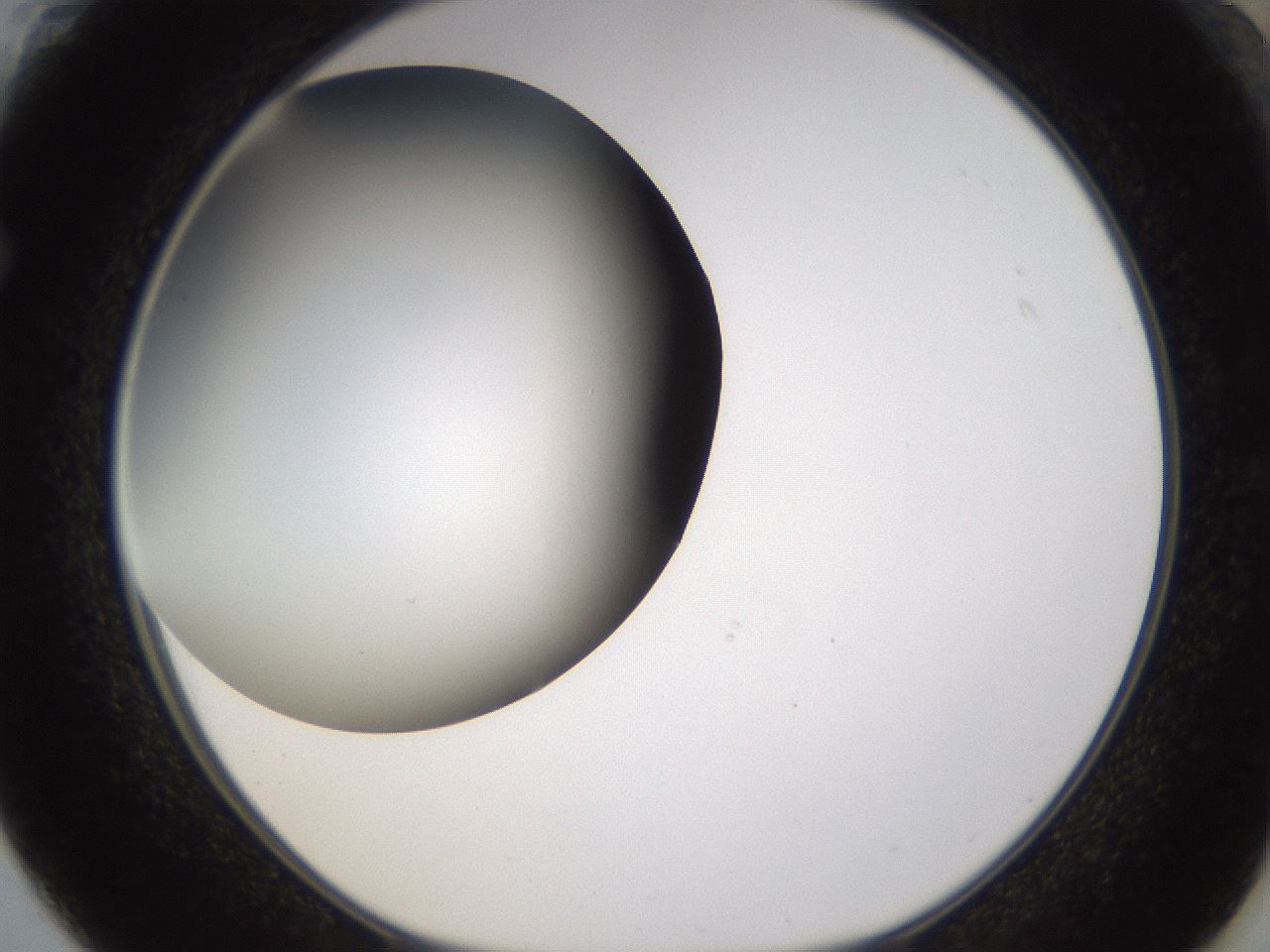 folderID339_plateID1339_batchID4571_wellNum61_profileID1_d1_r80582_ef.jpg