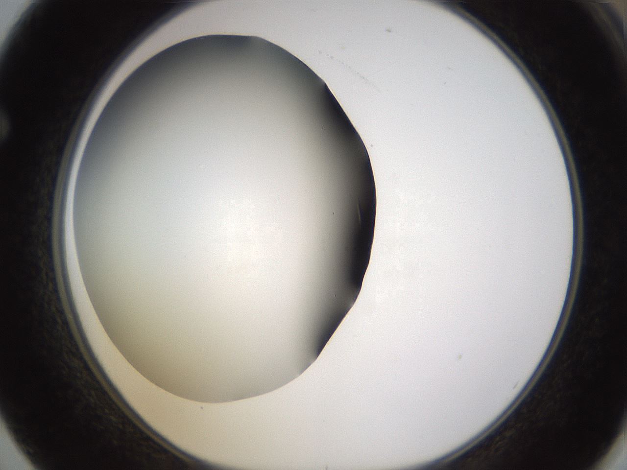 folderID339_plateID1339_batchID4571_wellNum62_profileID1_d1_r80583_ef.jpg