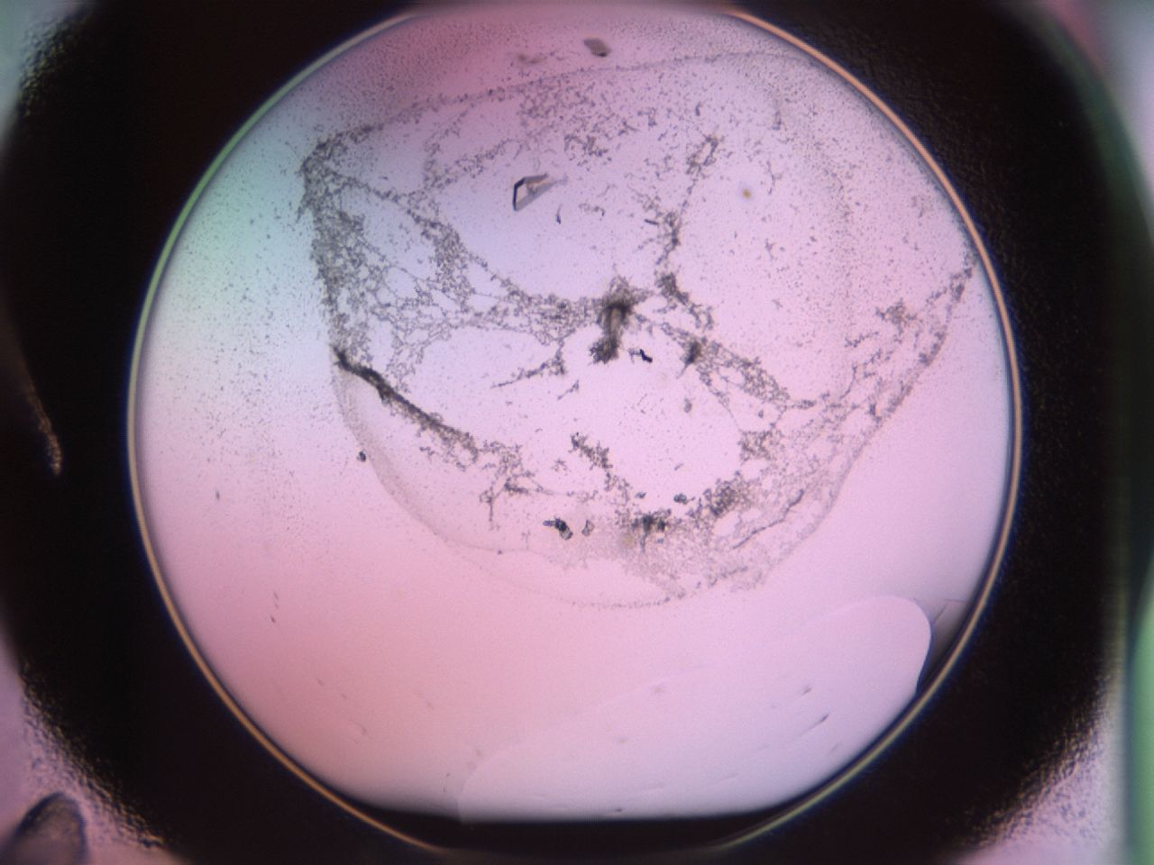 02kf_A11_ImagerDefaults_9.jpg