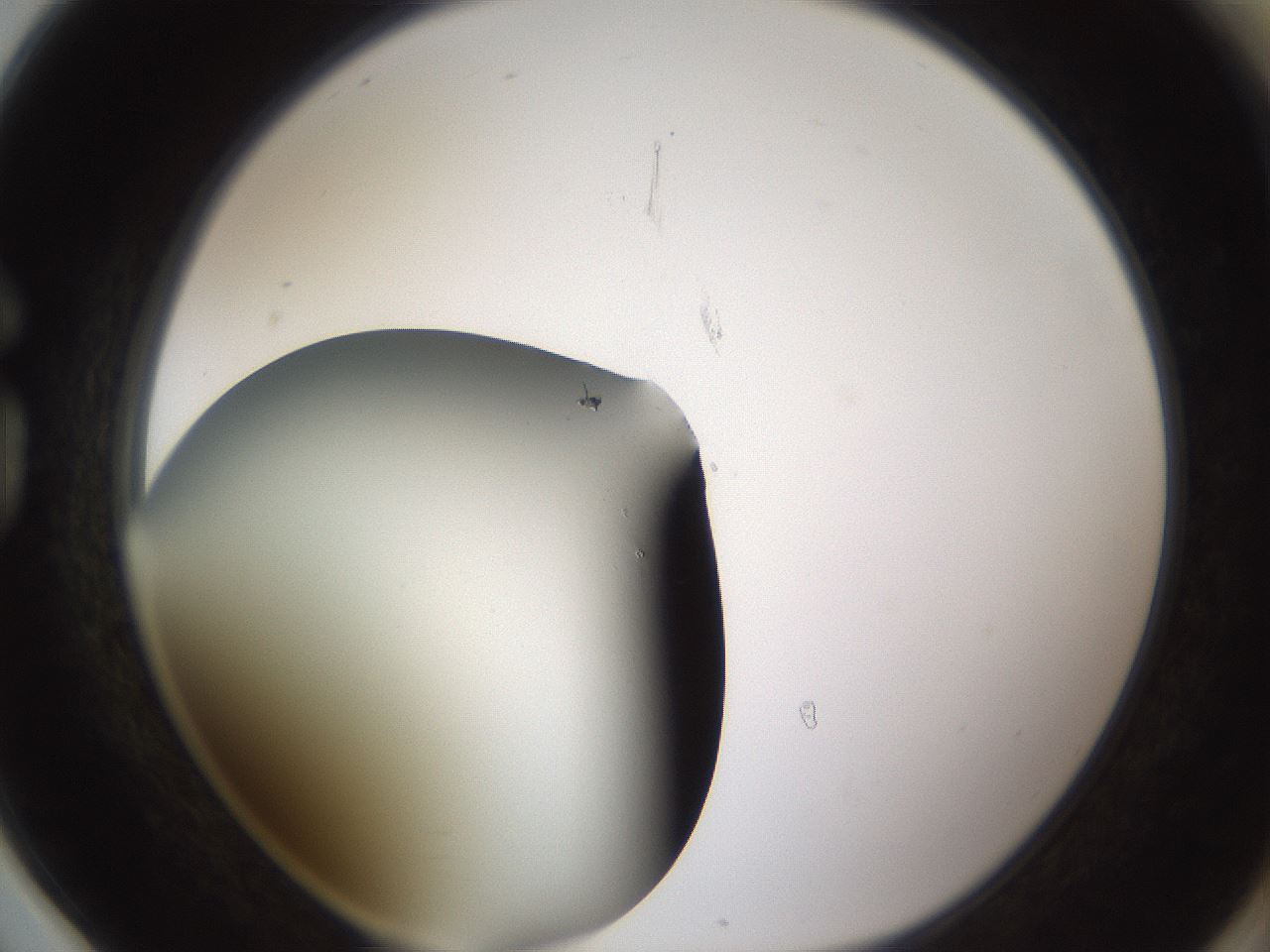 folderID339_plateID1339_batchID4571_wellNum78_profileID1_d1_r80593_ef.jpg