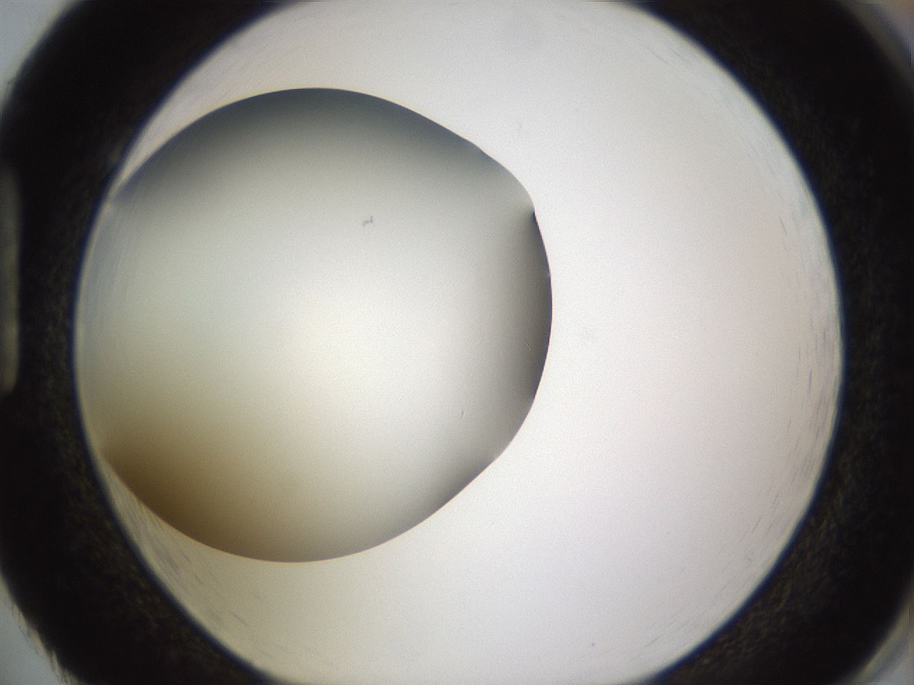 folderID339_plateID1339_batchID4571_wellNum86_profileID1_d1_r80595_ef.jpg