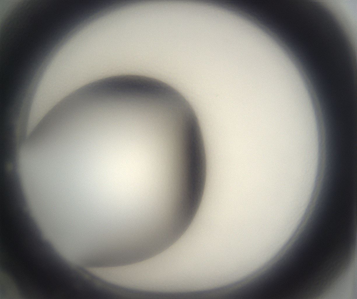 folderID339_plateID2339_batchID11006_wellNum22_profileID1_d1_r164920_ef.jpg
