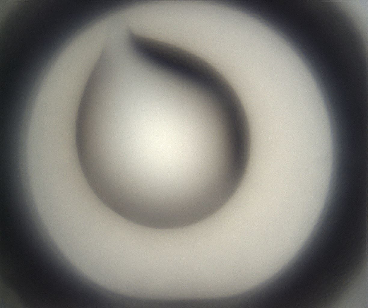 folderID339_plateID2339_batchID11006_wellNum70_profileID1_d1_r164968_ef.jpg