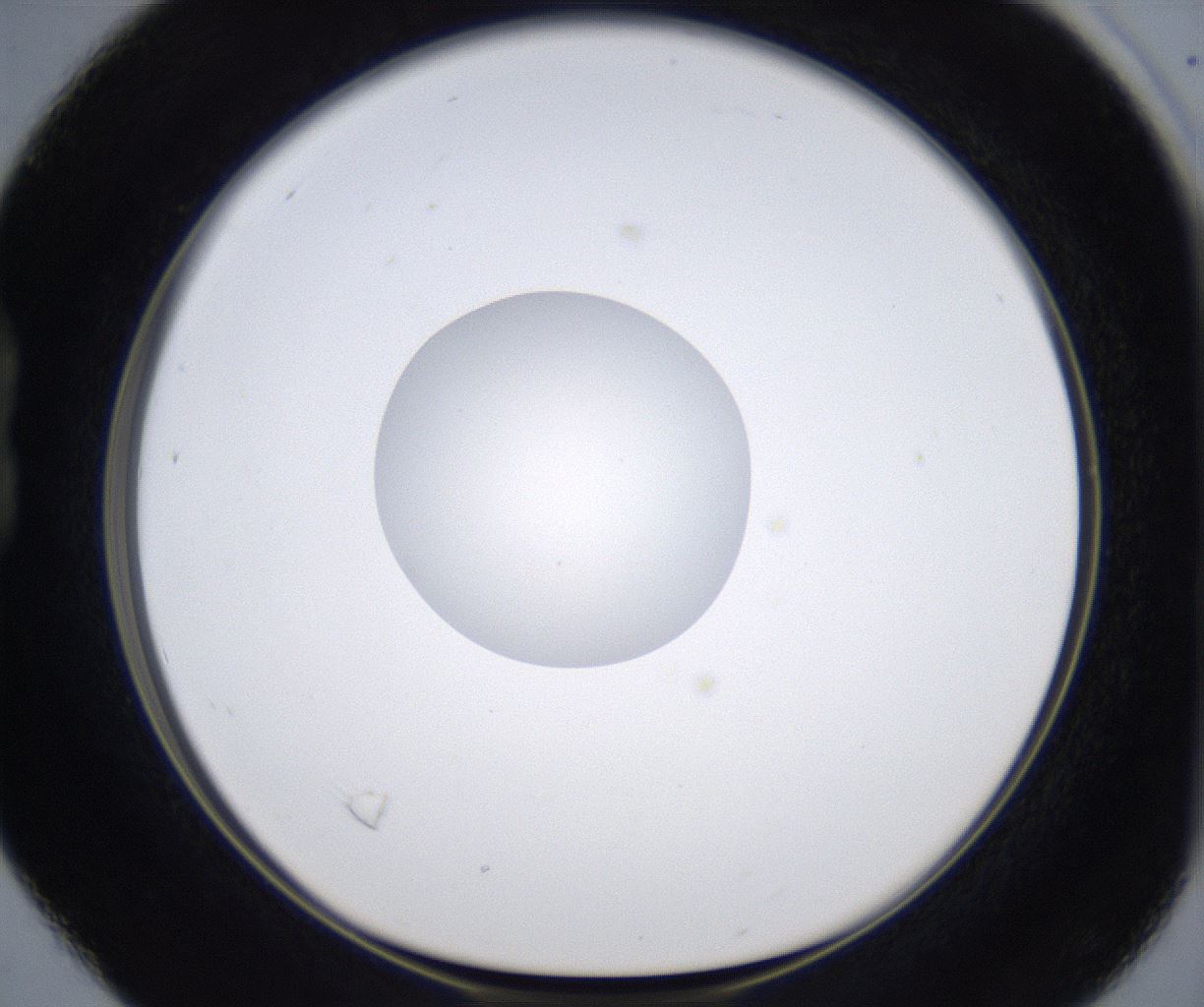 folderID340_plateID2340_batchID10999_wellNum16_profileID1_d1_r164338_ef.jpg