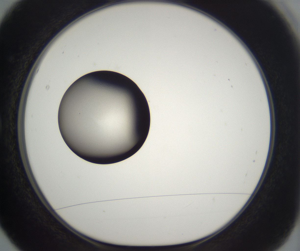 folderID339_plateID2339_batchID11006_wellNum5_profileID1_d1_r164903_ef.jpg
