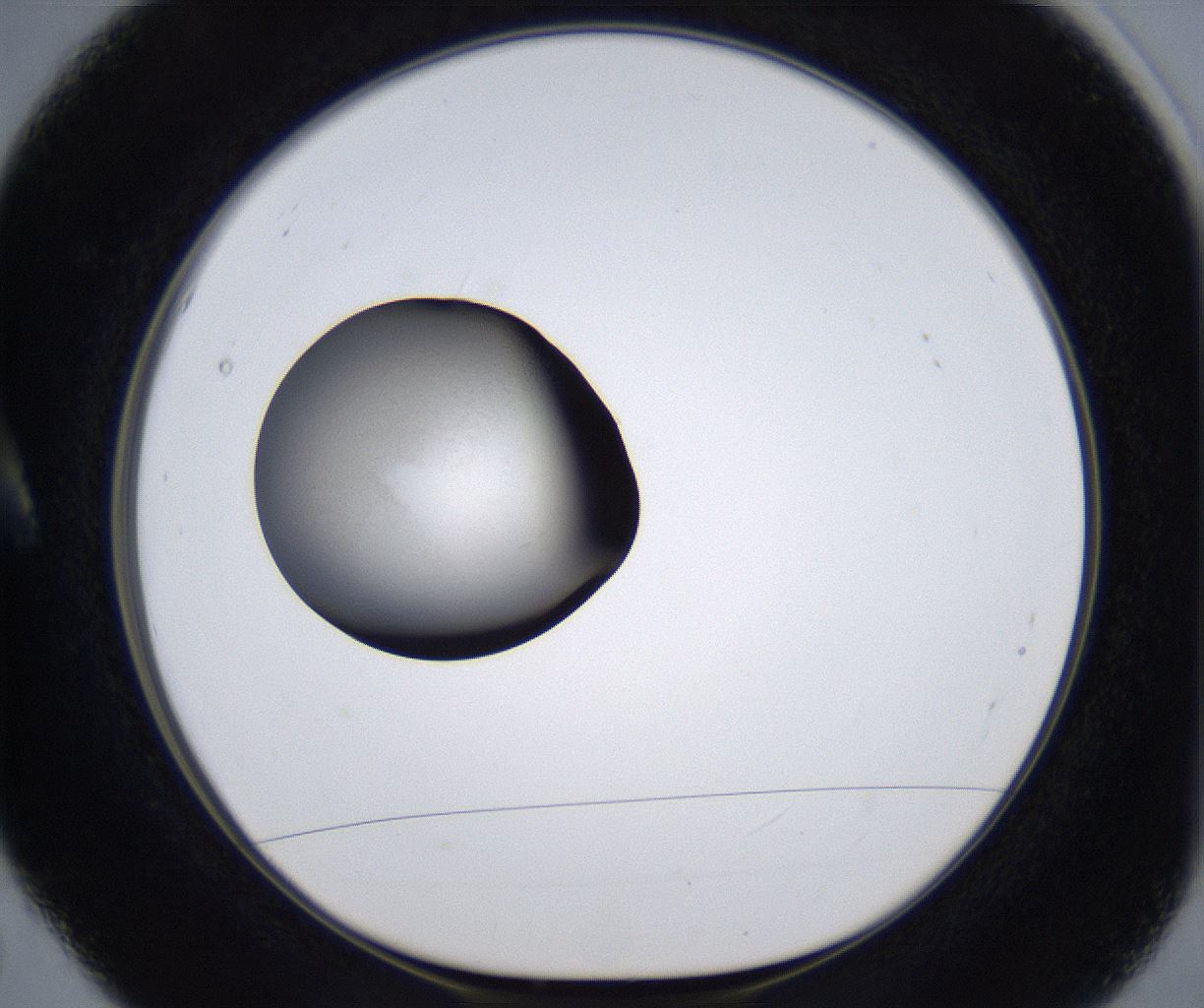 folderID340_plateID2340_batchID10999_wellNum5_profileID1_d1_r164327_ef.jpg