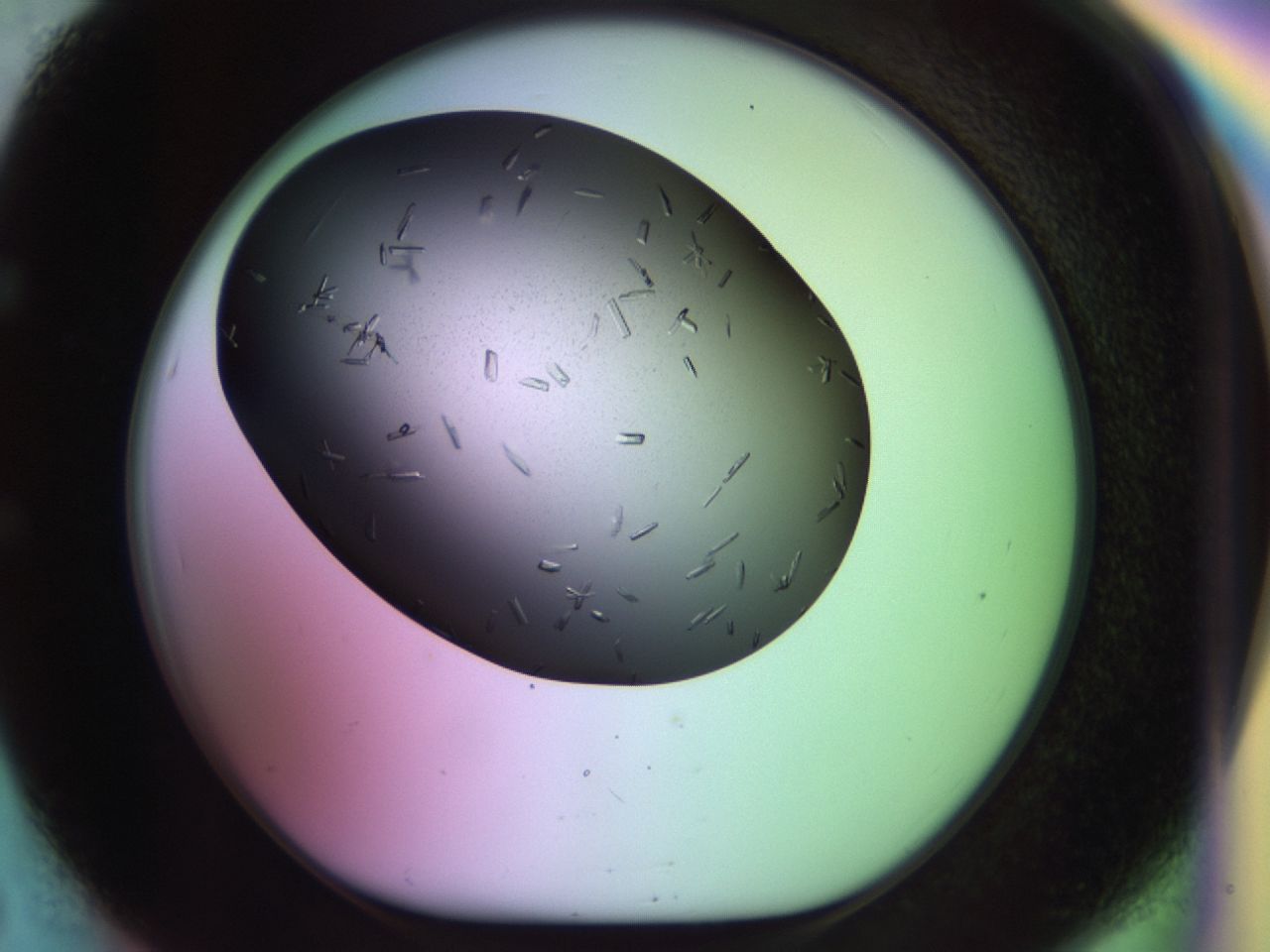 02kh_E5_ImagerDefaults_9.jpg