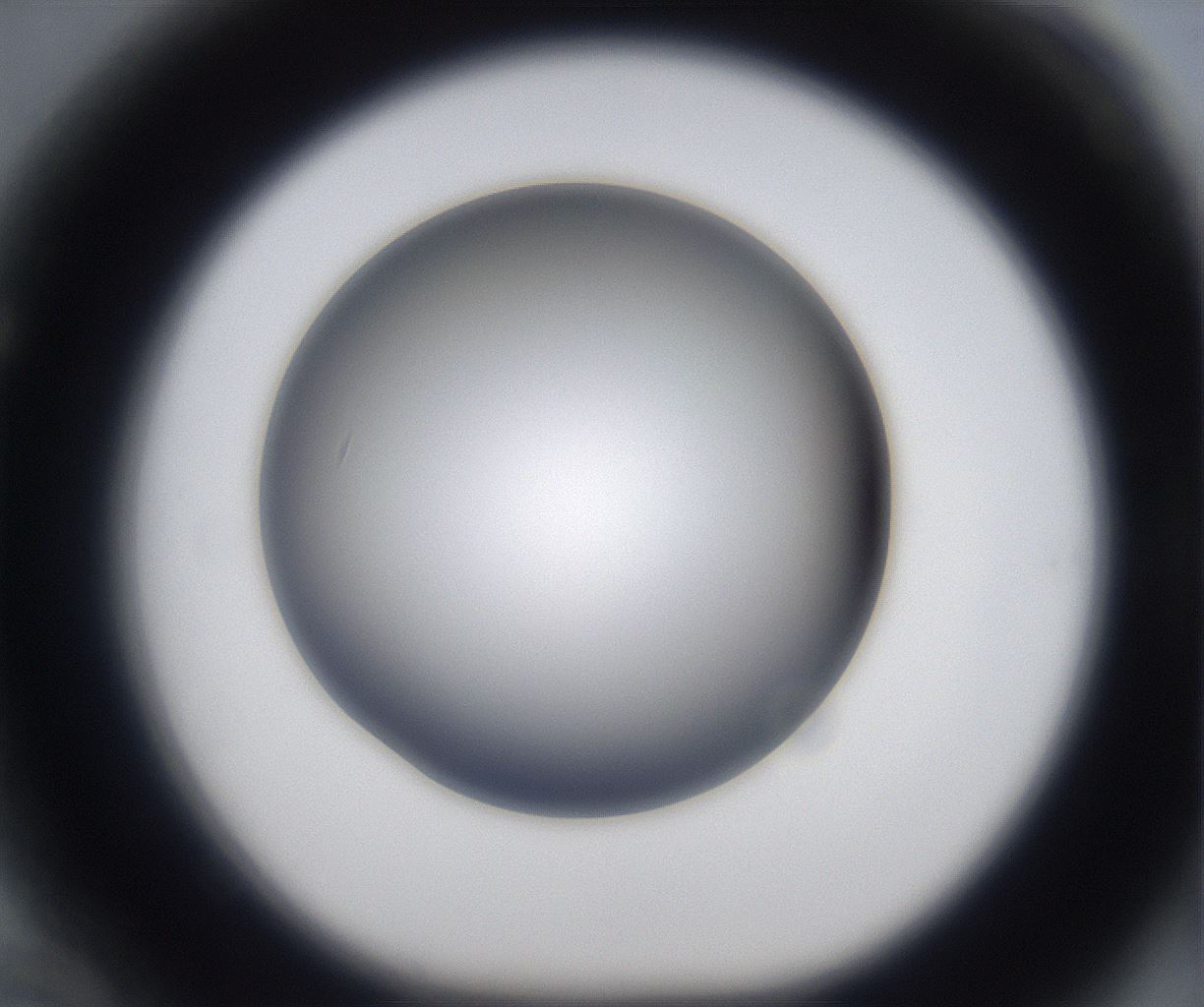 folderID340_plateID2340_batchID10999_wellNum70_profileID1_d1_r164392_ef.jpg
