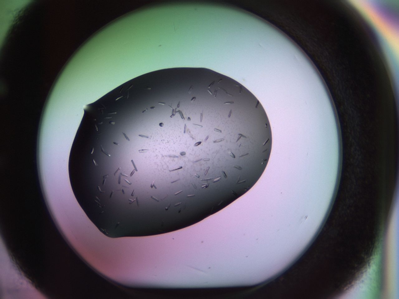 02kh_E4_ImagerDefaults_9.jpg