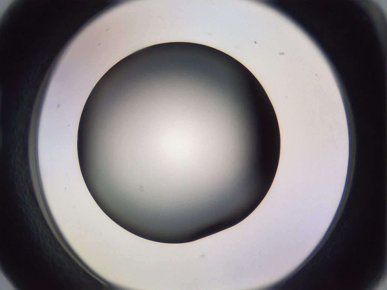 folderID341_plateID1341_batchID4589_wellNum17_profileID1_d1_r80680_ef.jpg