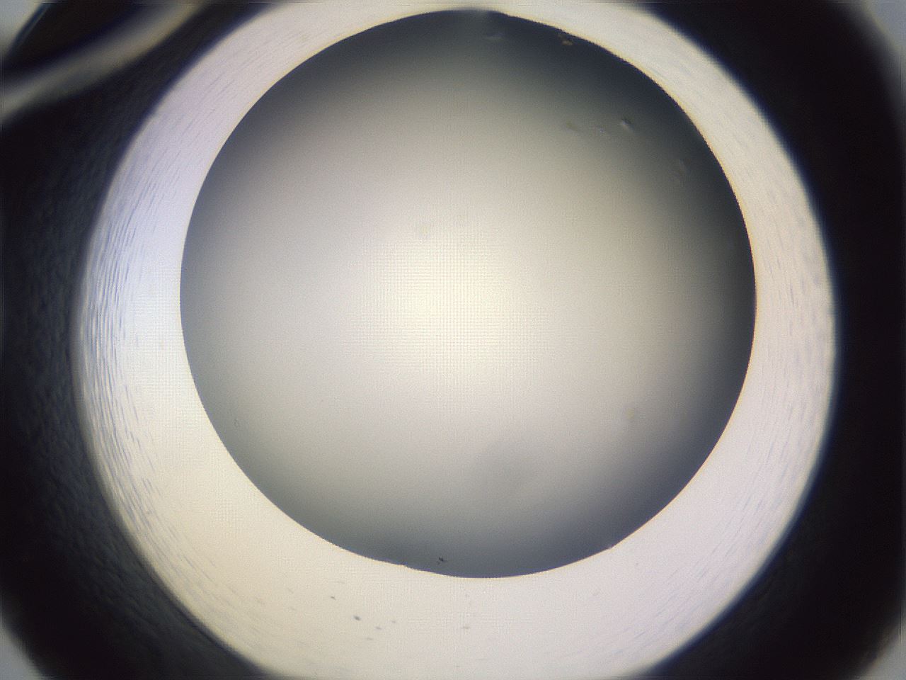 folderID341_plateID1341_batchID4589_wellNum20_profileID1_d1_r80686_ef.jpg