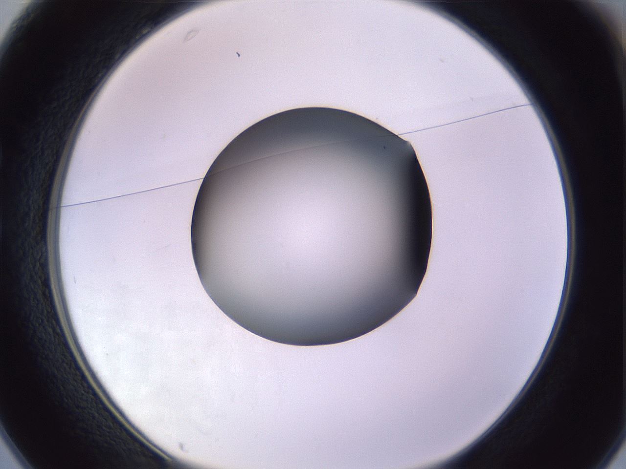 folderID341_plateID1341_batchID4589_wellNum25_profileID1_d1_r80696_ef.jpg