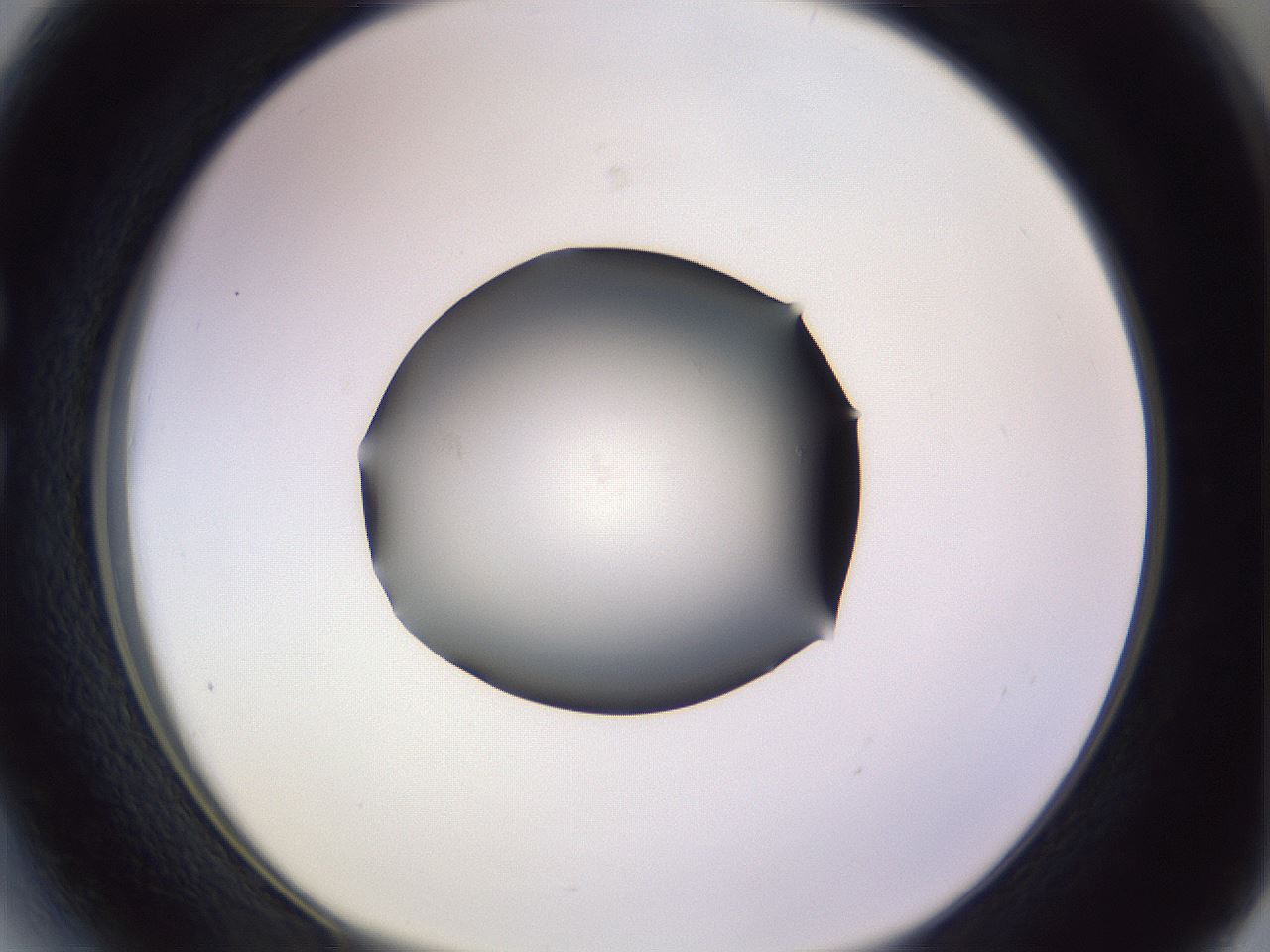 folderID341_plateID1341_batchID4589_wellNum27_profileID1_d1_r80700_ef.jpg