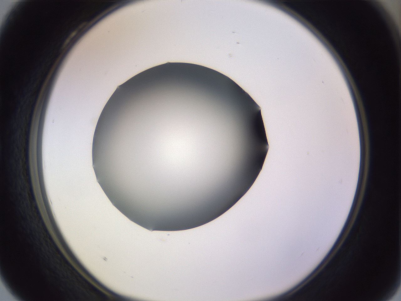 folderID341_plateID1341_batchID4589_wellNum28_profileID1_d1_r80702_ef.jpg