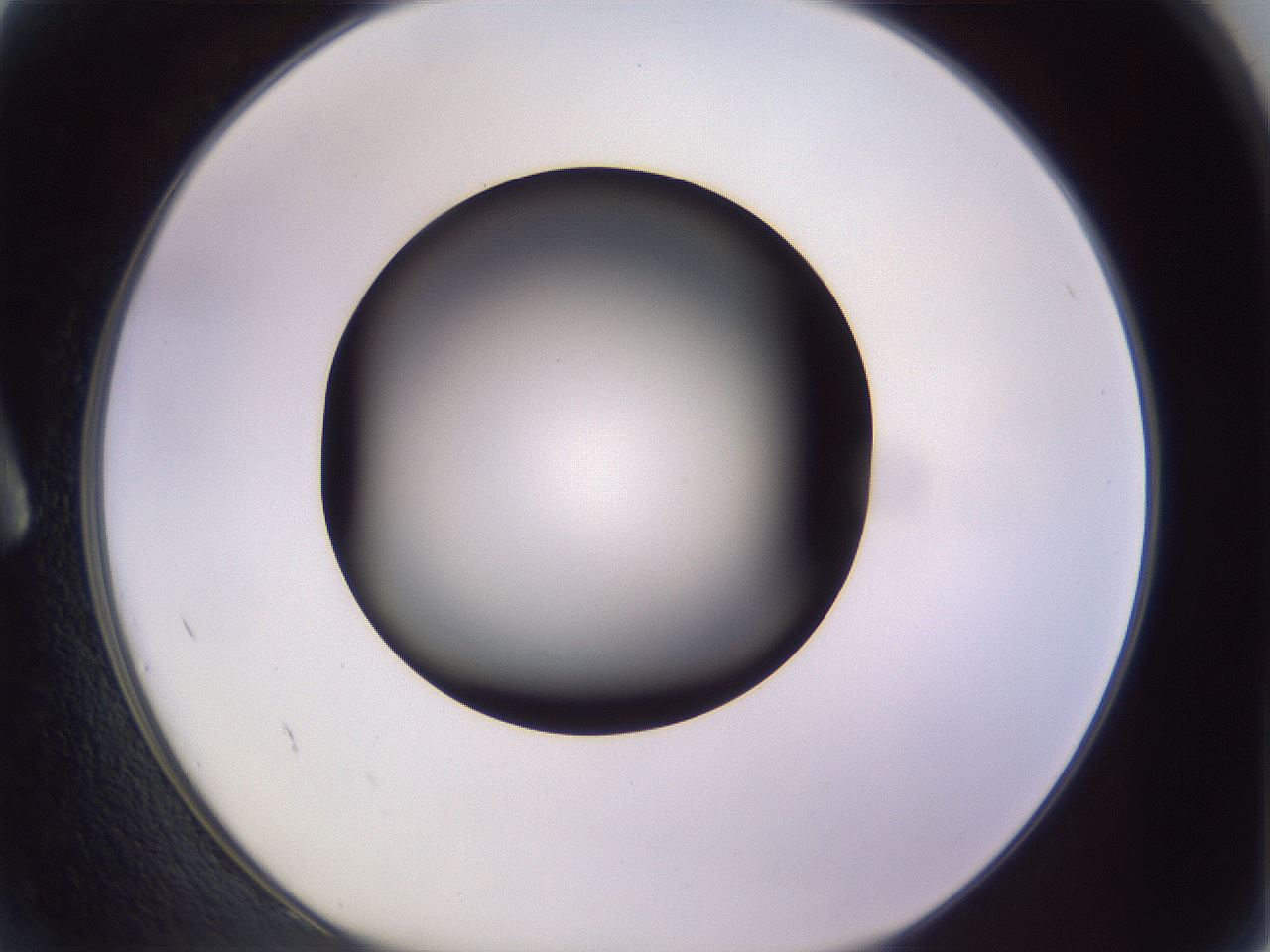 folderID341_plateID1341_batchID4589_wellNum2_profileID1_d1_r80650_ef.jpg