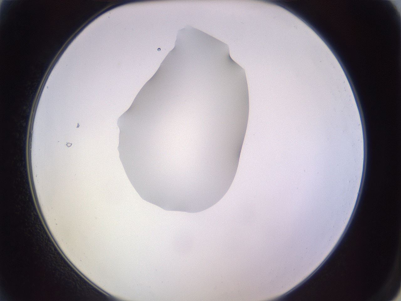 folderID341_plateID1341_batchID4589_wellNum2_profileID1_d2_r80651_ef.jpg