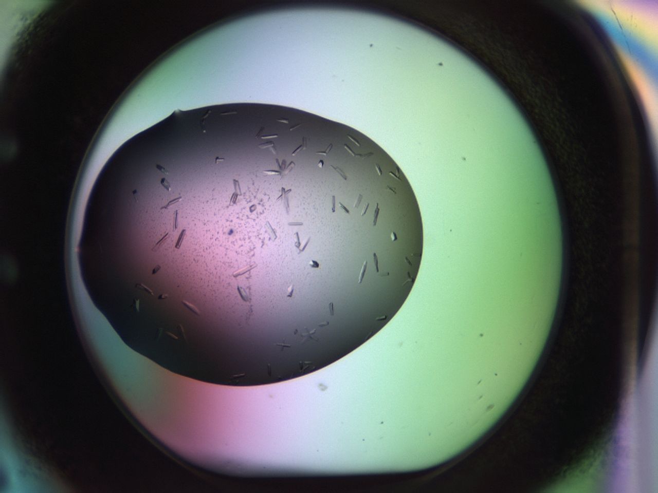 02kh_E6_ImagerDefaults_9.jpg