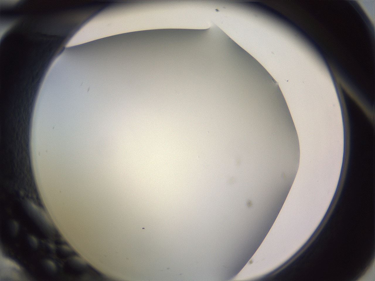 folderID341_plateID1341_batchID4589_wellNum34_profileID1_d1_r80714_ef.jpg