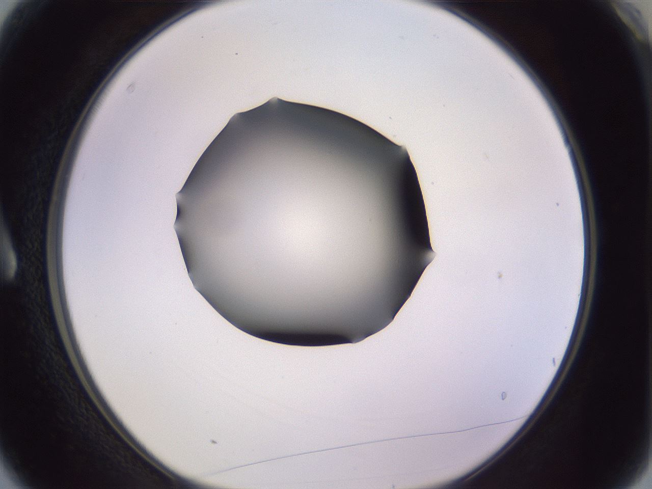 folderID341_plateID1341_batchID4589_wellNum3_profileID1_d1_r80652_ef.jpg
