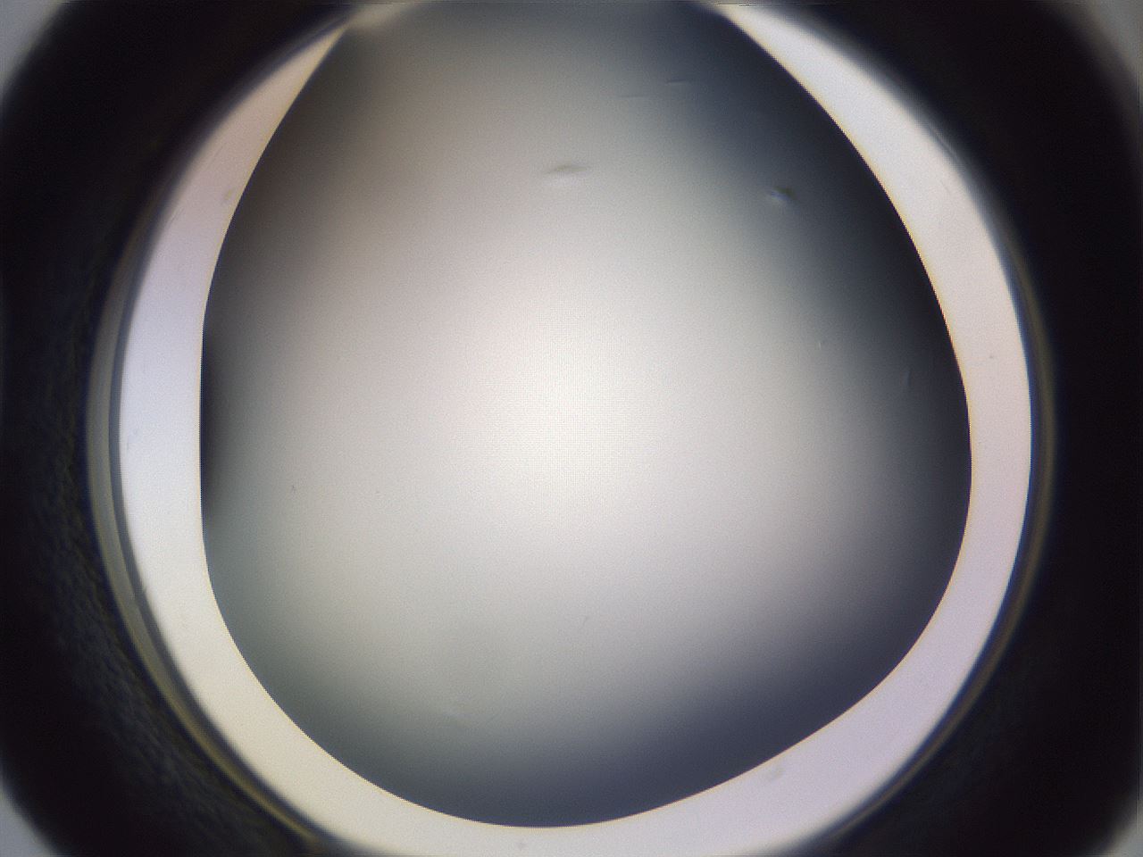 folderID341_plateID1341_batchID4589_wellNum40_profileID1_d1_r80726_ef.jpg