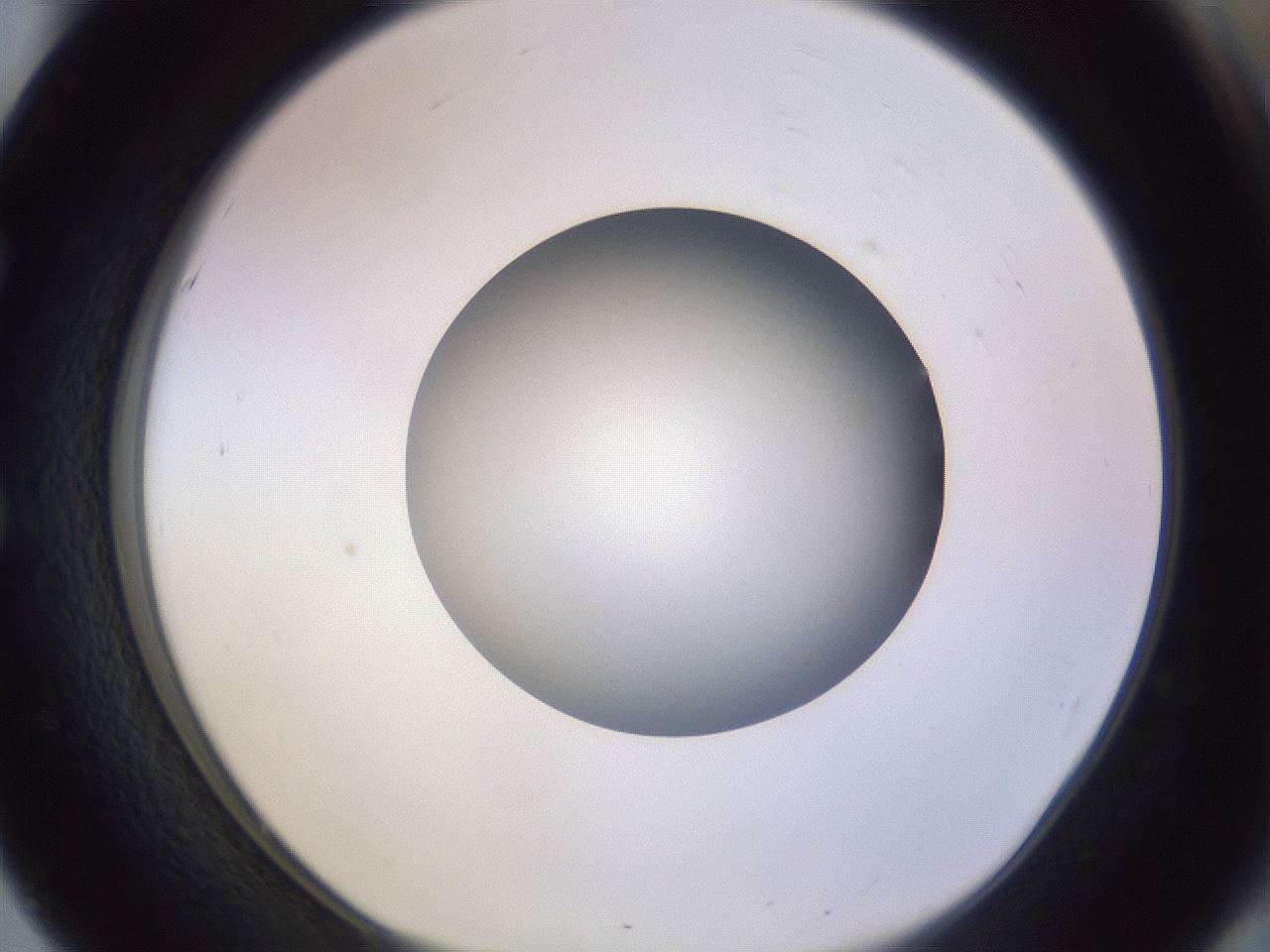 folderID341_plateID1341_batchID4589_wellNum51_profileID1_d1_r80748_ef.jpg