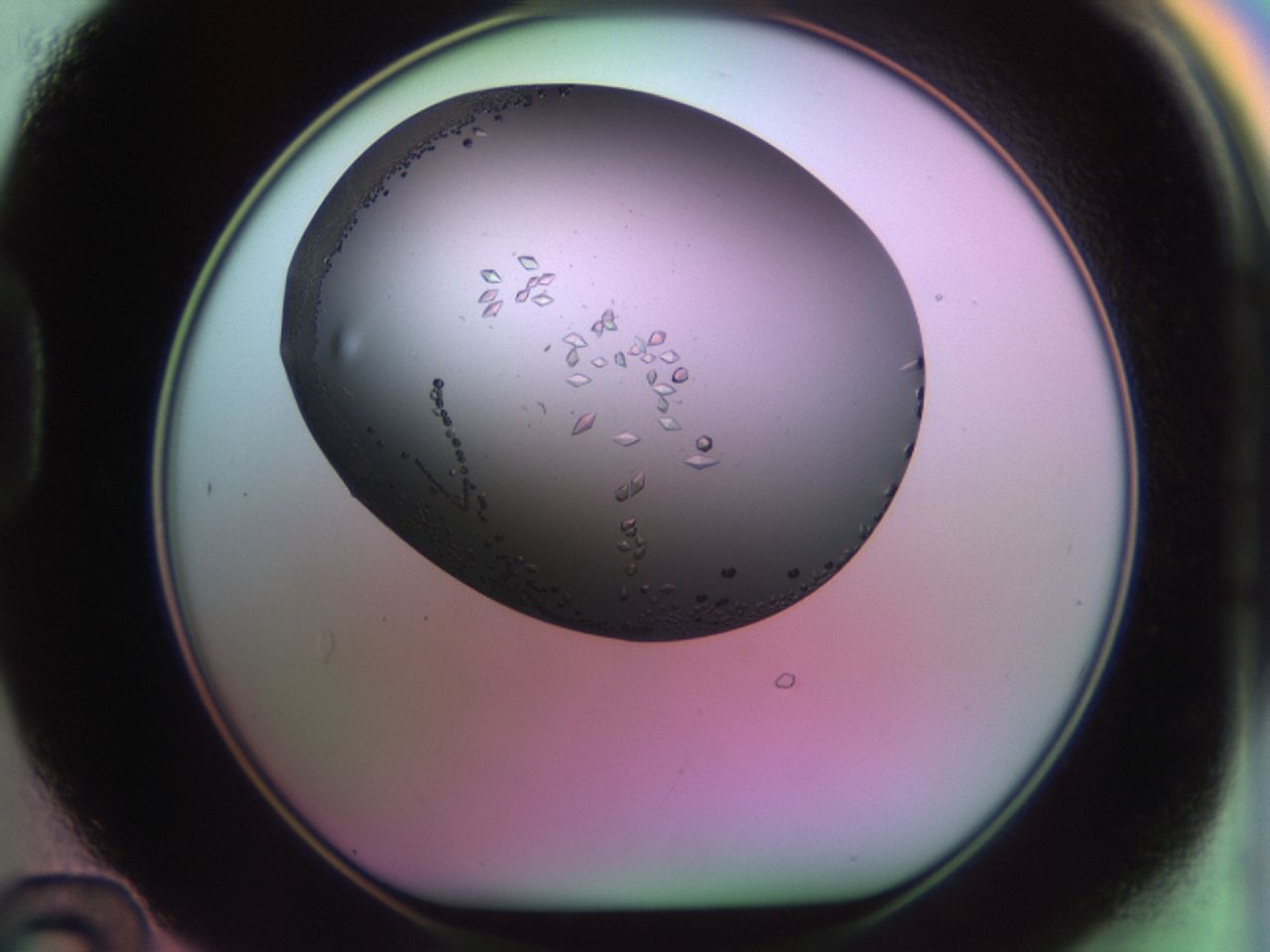 02kh_D12_ImagerDefaults_9.jpg
