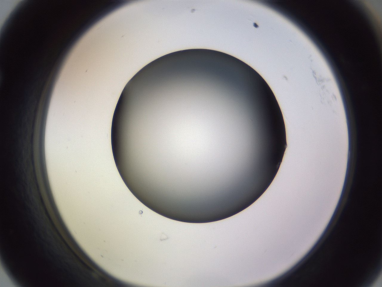 folderID341_plateID1341_batchID4589_wellNum68_profileID1_d1_r80782_ef.jpg