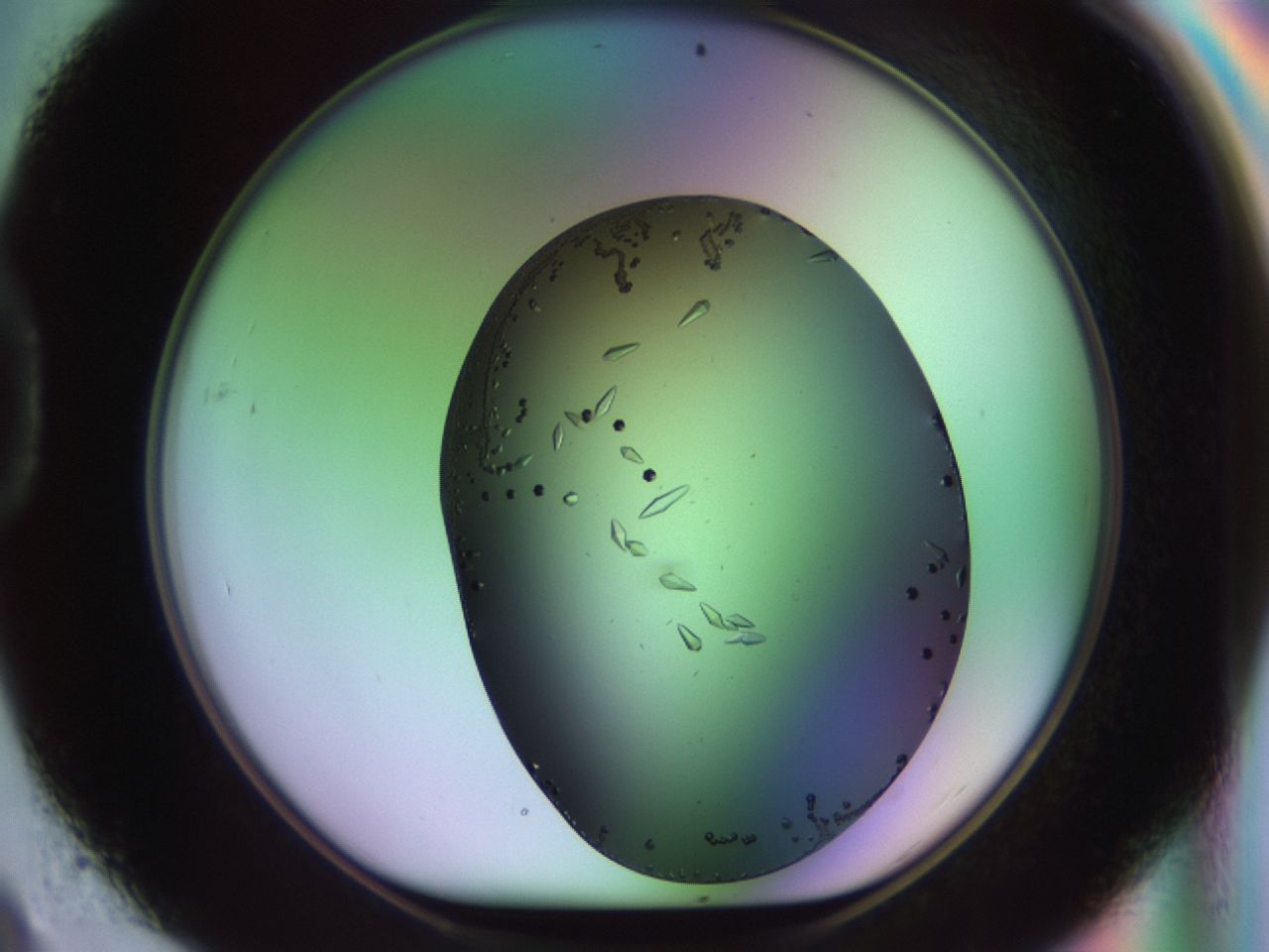 02kh_D9_ImagerDefaults_9.jpg