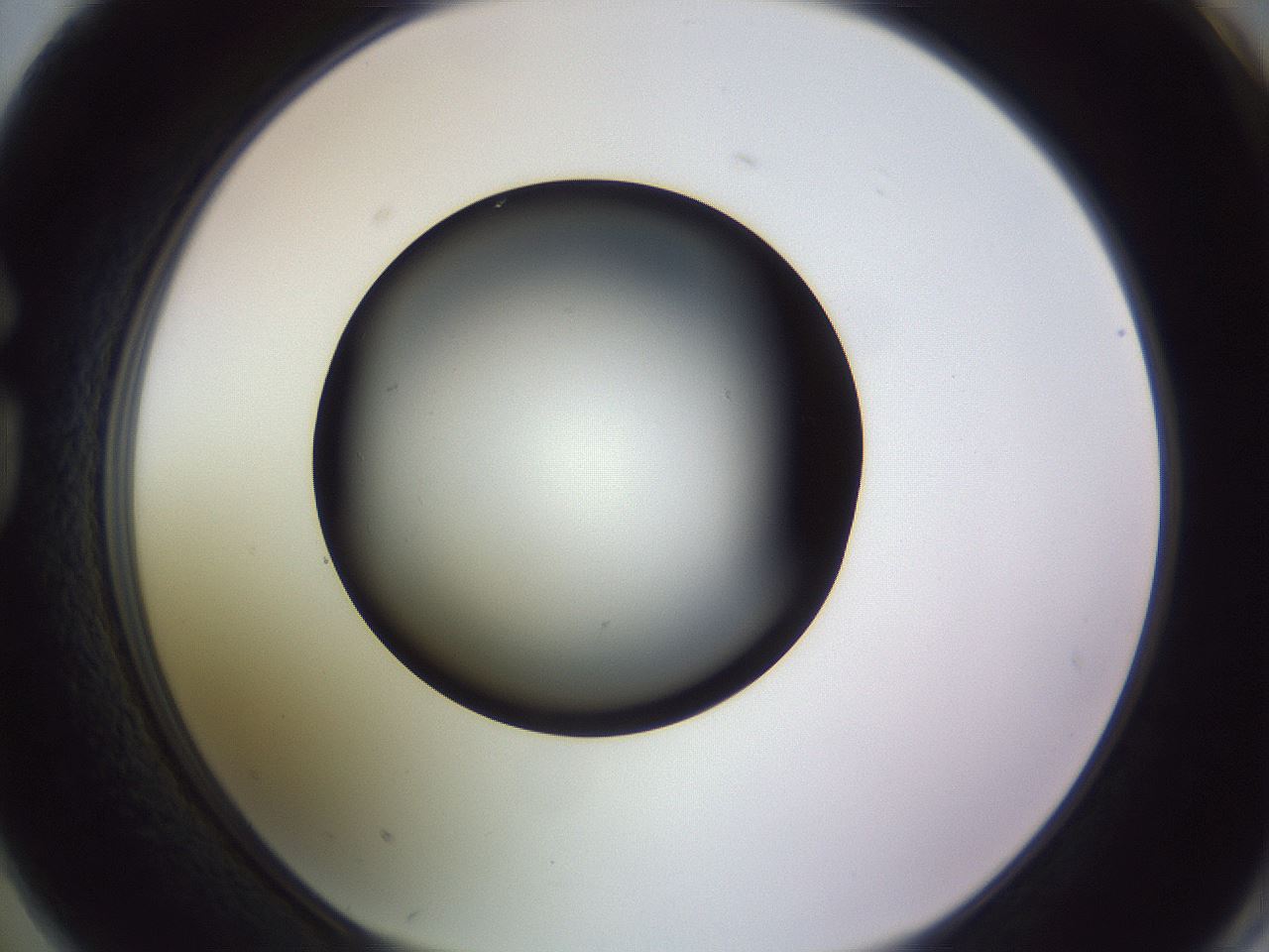 folderID341_plateID1341_batchID4589_wellNum74_profileID1_d1_r80794_ef.jpg
