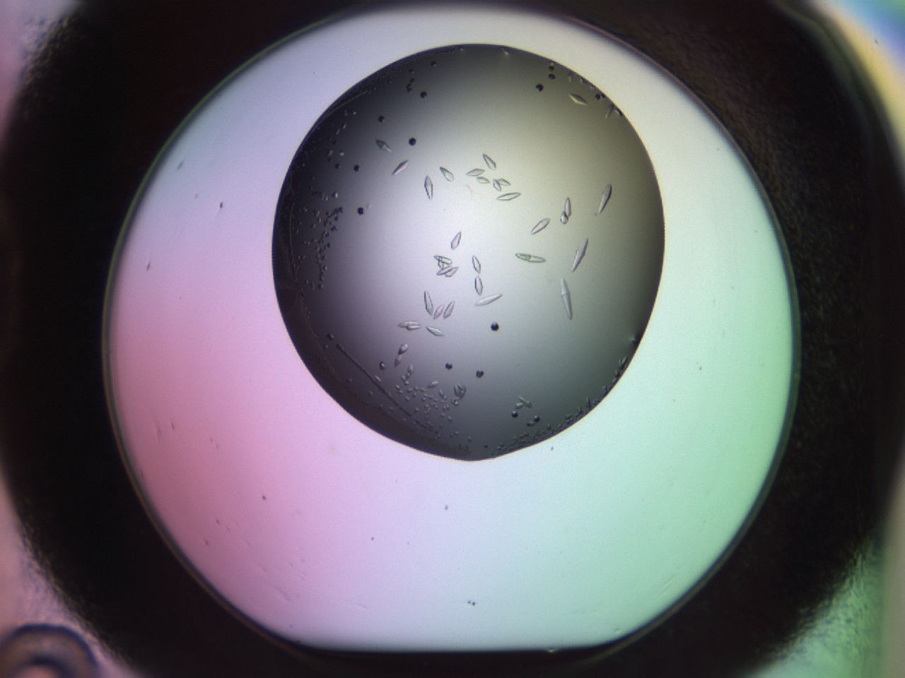 02kh_D10_ImagerDefaults_9.jpg