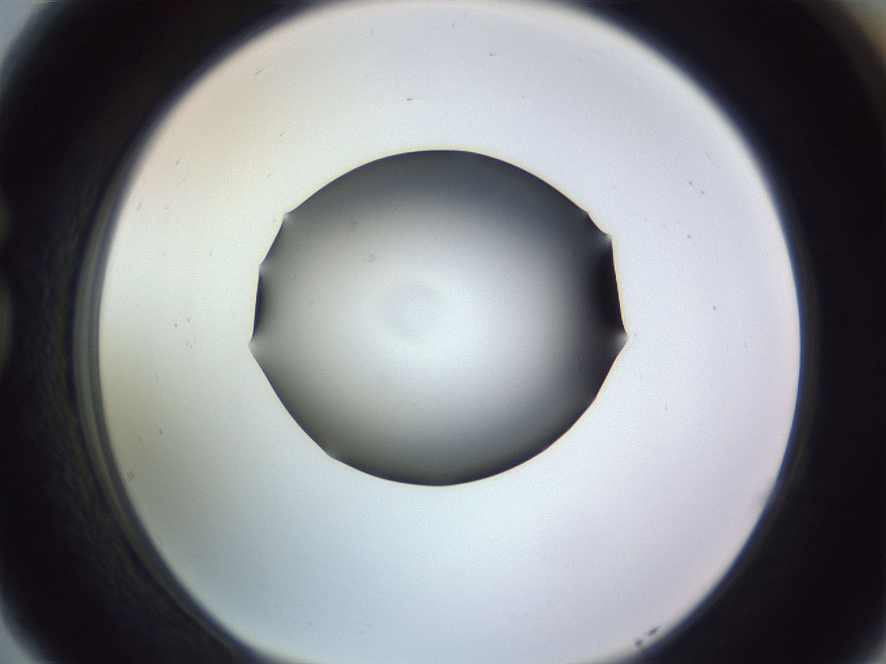 folderID341_plateID1341_batchID4589_wellNum77_profileID1_d1_r80800_ef.jpg