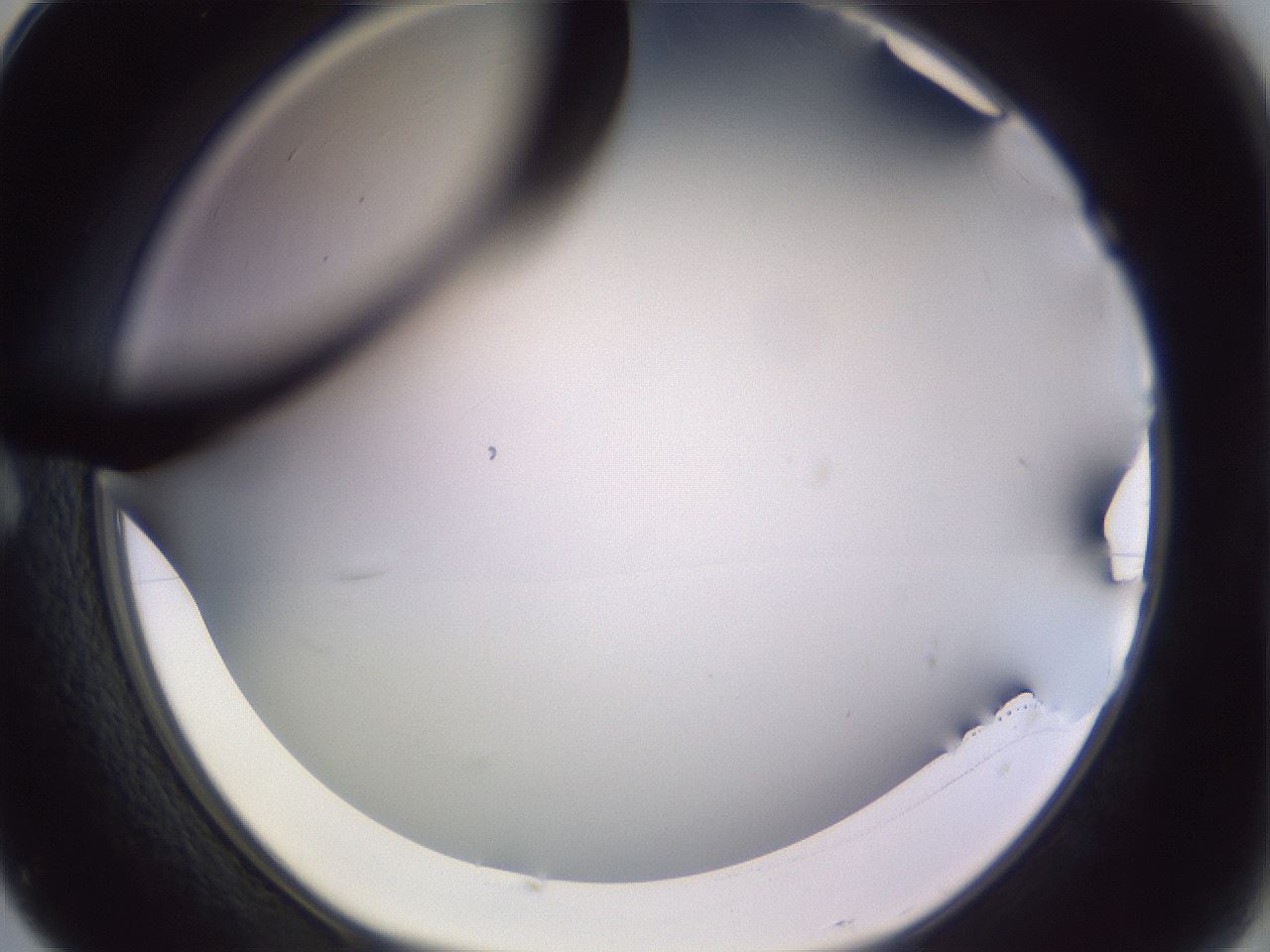 folderID341_plateID1341_batchID4589_wellNum7_profileID1_d1_r80660_ef.jpg