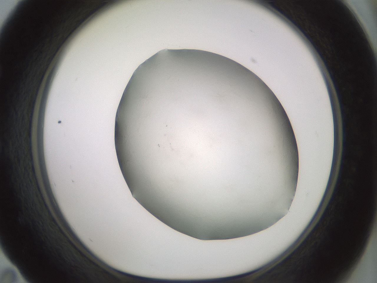 folderID343_plateID1343_batchID4599_wellNum59_profileID1_d1_r80898_ef.jpg