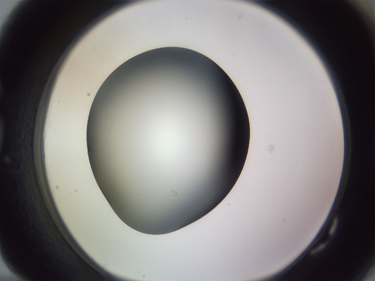 folderID341_plateID1341_batchID4589_wellNum82_profileID1_d1_r80810_ef.jpg