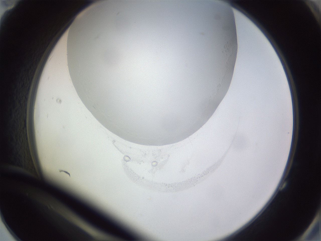folderID341_plateID1341_batchID4589_wellNum83_profileID1_d2_r80813_ef.jpg