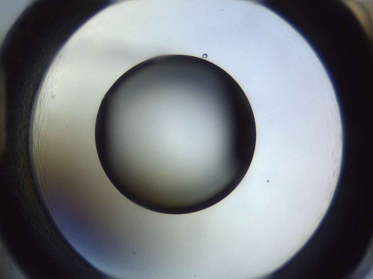 folderID341_plateID1341_batchID4589_wellNum85_profileID1_d1_r80816_ef.jpg