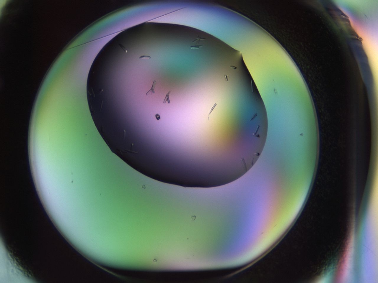 02kh_F1_ImagerDefaults_9.jpg