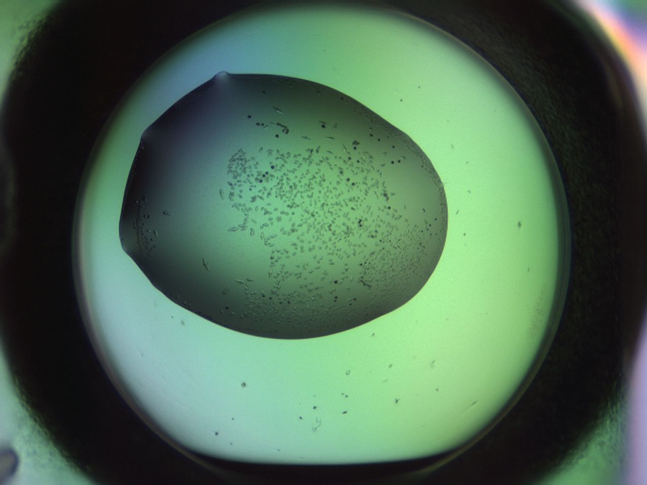 02kh_D7_ImagerDefaults_9.jpg