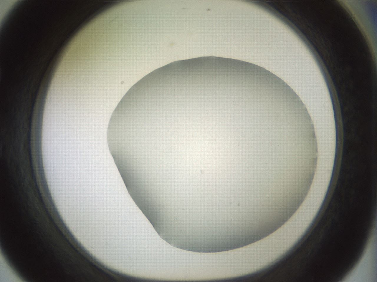 folderID343_plateID1343_batchID4599_wellNum56_profileID1_d1_r80895_ef.jpg