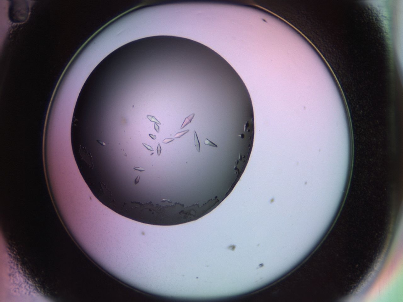 02kh_D11_ImagerDefaults_9.jpg