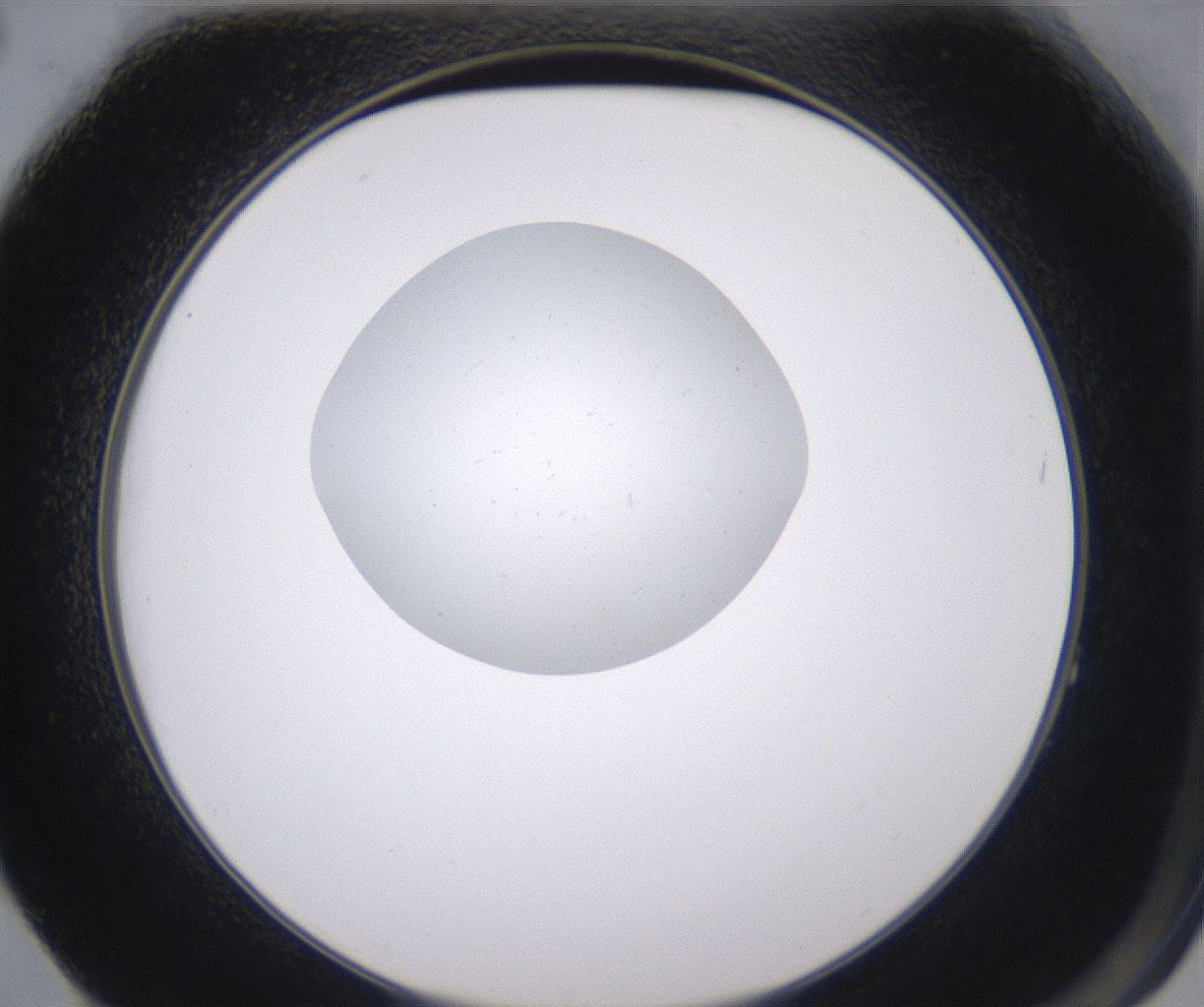 folderID344_plateID2344_batchID11058_wellNum64_profileID1_d2_r165890_ef.jpg
