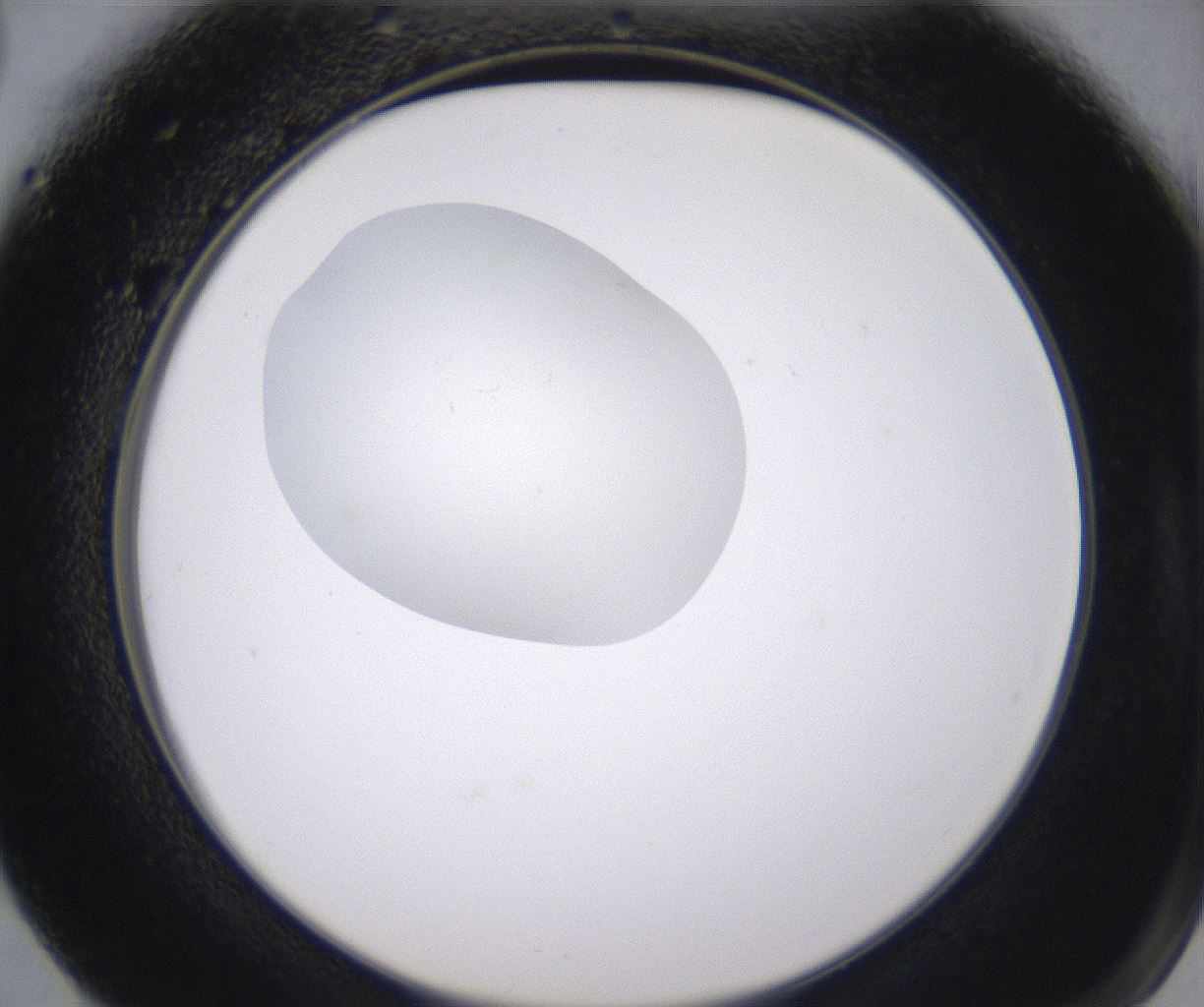 folderID344_plateID2344_batchID11058_wellNum66_profileID1_d2_r165894_ef.jpg
