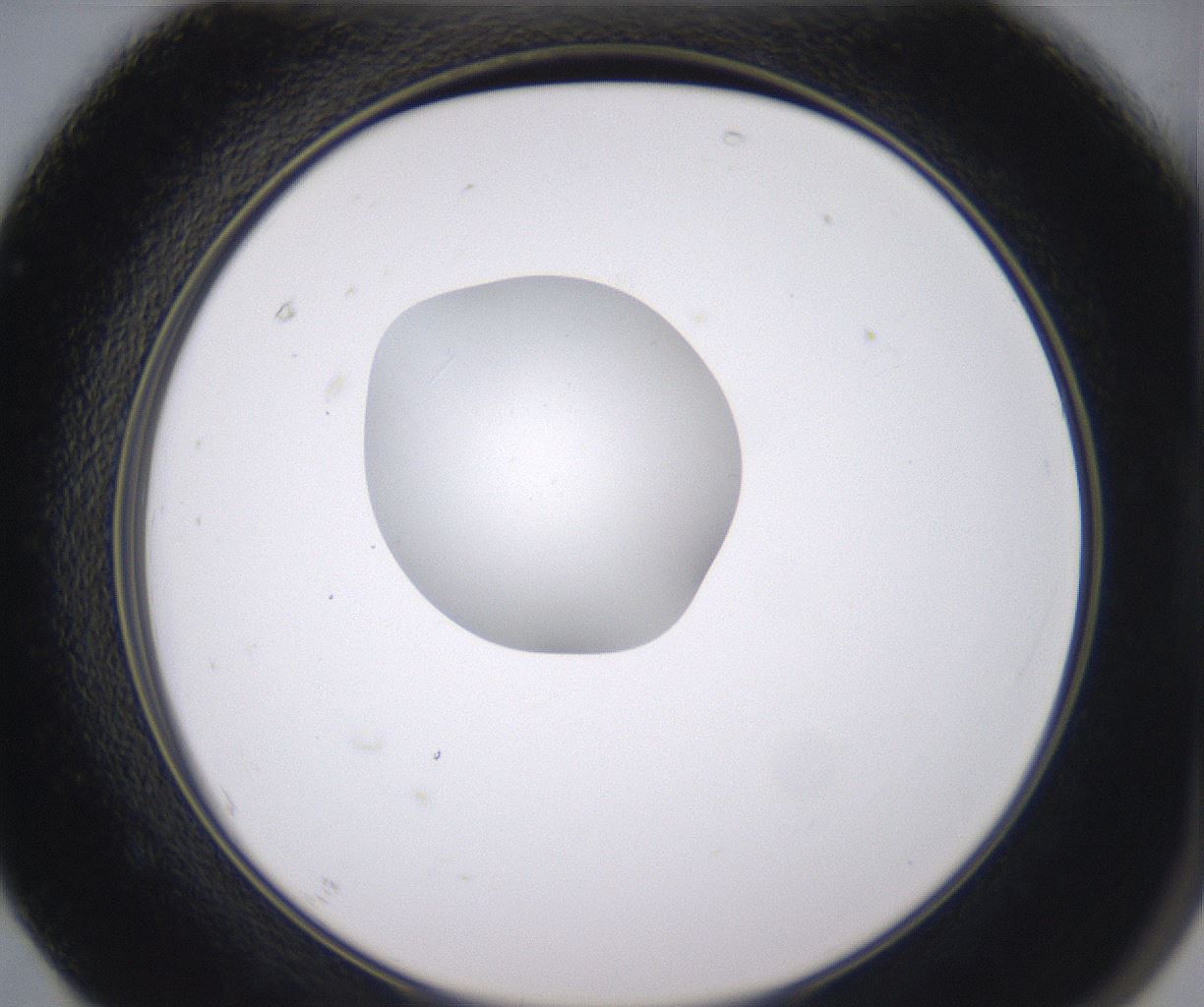 folderID344_plateID2344_batchID11058_wellNum67_profileID1_d2_r165896_ef.jpg