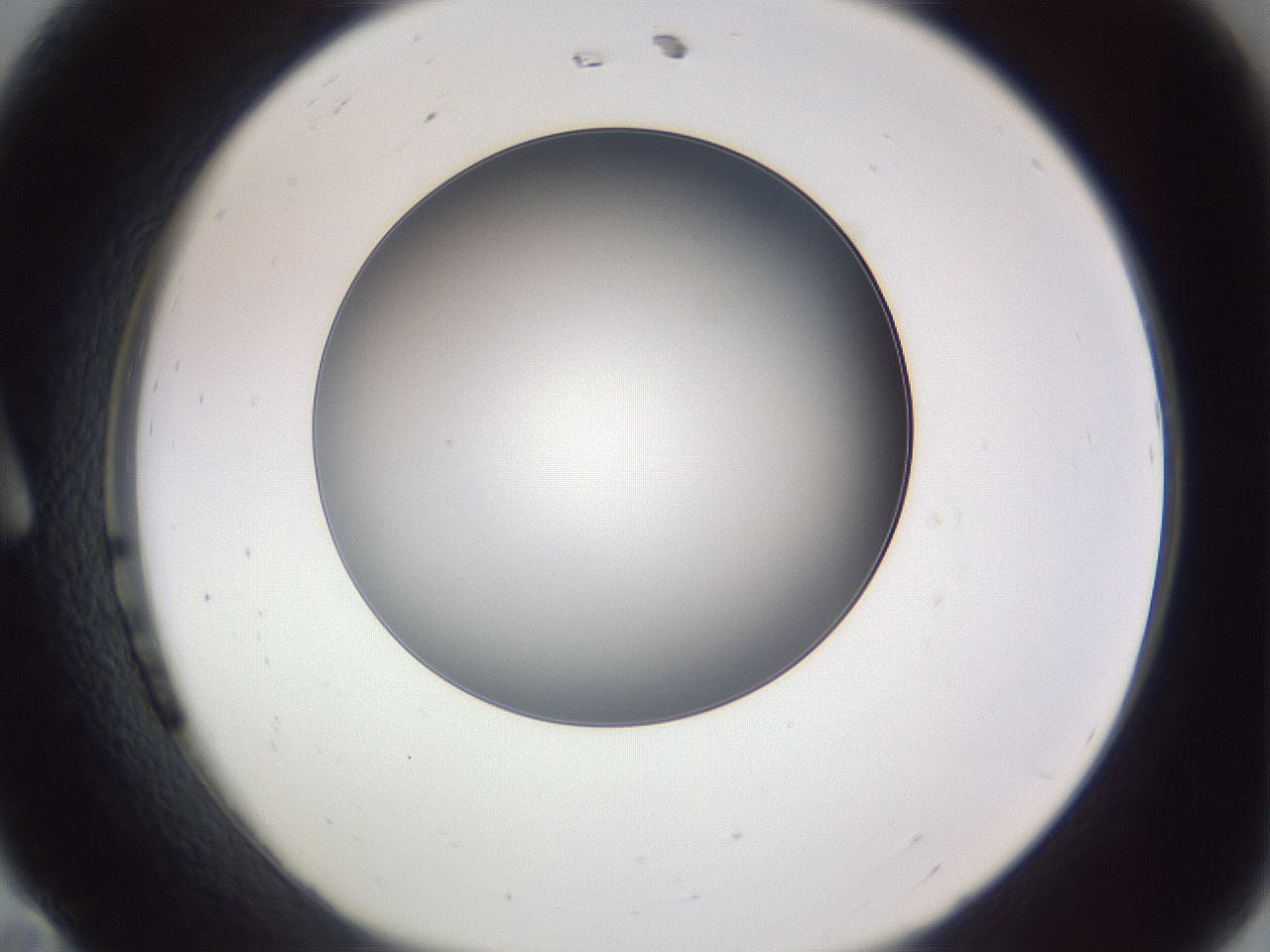 folderID345_plateID1345_batchID4696_wellNum11_profileID1_d1_r80956_ef.jpg