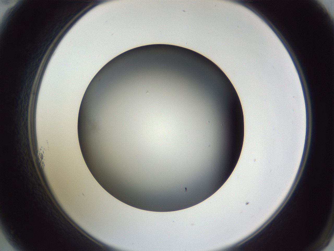 folderID345_plateID1345_batchID4696_wellNum11_profileID1_d2_r80957_ef.jpg