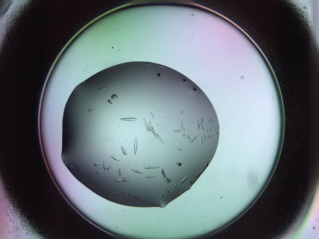 02kh_A8_ImagerDefaults_9.jpg